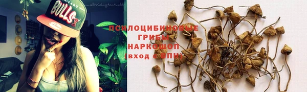 твердый Ладушкин