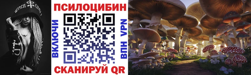 Псилоцибиновые грибы мухоморы Купить закладки Полысаево
